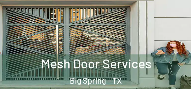 Mesh Door Services Big Spring - TX